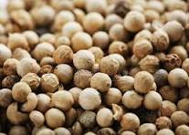 Raw Dried White Pepper and Coriander Seeds Whole Round Spices Vietnam GT7 Single Herbs &amp; Spices Variety - Product Image 5