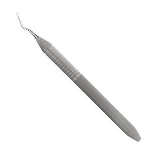 Instrument chirurgical dentaire en acier inoxydable pour l'élimination des fragments radiculaires, outil de chirurgie buccale réutilisable, 2 embouts de racine - Product Image 1