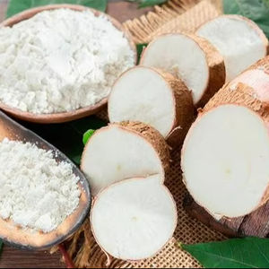 Almidón de Tapioca Vietnamita de Primera Calidad, Puro, Versátil, Saludable e Ideal para el Procesamiento y Exportación de Alimentos. - Product Image 1