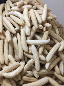 ฟองน้ำใยบวบธรรมชาติคุณภาพสูง ขนาด 25-30 ซม. แบบแบน สำหรับใช้ในห้องน้ำและห้องครัว ส่งออกจากฟาร์มในเวียดนาม ราคาดี - Product Image 1