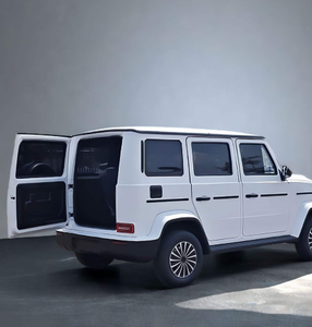 Vendedor de China: Mini Auto Eléctrico, Mini G Wagon, Auto Eléctrico para Adultos - Product Image 2