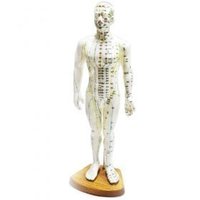 Modèle de corps humain coréen pour points d'acupuncture, 50 cm, poupée en caoutchouc homme/femme avec tableau de moxibustion