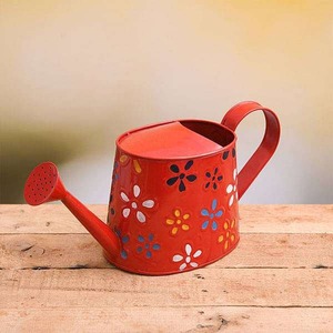 Arrosoir artisanal en métal fait main avec long bec, outil de jardinage pour plantes d'intérieur et d'extérieur, décoratif - Product Image 1