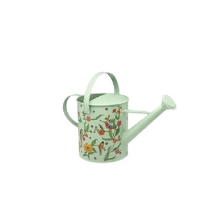 <b>Top</b> Arrival Customization Handmade Garden Products Sky Blue Watering Can Gardening and Watering Plants Customized Size - Product Image 5