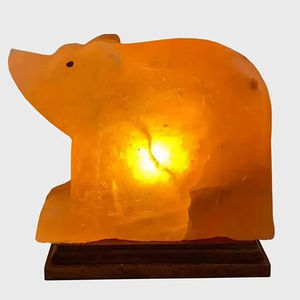 Lámpara de Sal del Himalaya en Forma de Oso, Tallada a Mano con Material Orgánico y Diseño Animal Personalizado - Product Image 1