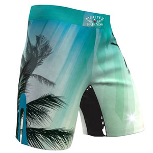 Shorts d'entraînement MMA pour hommes, séchage rapide, confortables, shorts de combat, logo personnalisé, vêtements de sport athlétiques, fournisseur en gros - Product Image 2