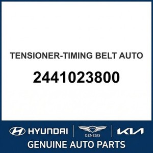Elantra Nuevo, Otras Piezas y Accesorios para Autos y Camionetas 2441023800 - Product Image 1
