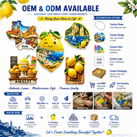 Aimant de réfrigérateur en résine 3D personnalisé, souvenirs touristiques de la côte d'Amalfi en Italie, aimant de réfrigérateur en forme de fruit, fabricant d'aimants de réfrigérateur