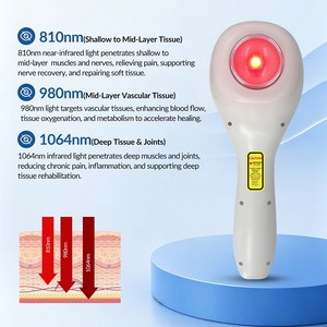Appareil de thérapie laser de classe IV 12W 810nm 980nm 1064nm pour soulager la douleur chez les humains et les animaux - Product Image 3