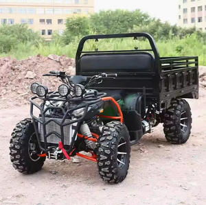 Potente Cuatrimoto Chithan 4X4 Todoterreno, Buggy con Motor de 350cc y 4 Tiempos, Transmisión Automática, Bloqueo de Diferencial, Plástico ODM - Product Image 4