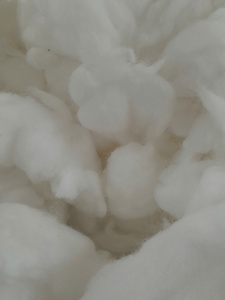 Algodón Crudo Blanco de Alta Calidad, Fibra Suelta a Granel para Hilado y Procesamiento Textil - Product Image 1