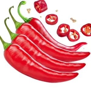 "KIM" {HOT PRODUCT} FRESH CHILLI IS THE BEST PRICE FOR BIG ORDER/ HIGH QUALITY FOR EXPORT STANDARD