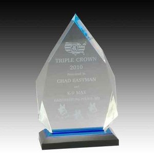 Trophée personnalisé en acrylique transparent Prix moderne gravé au laser pour l'excellence et la reconnaissance des réalisations - Product Image 6