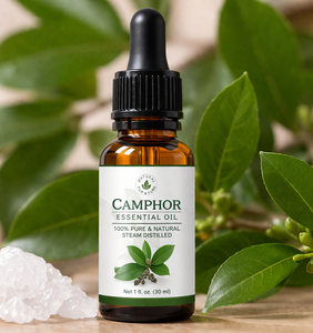 Huile essentielle de camphre de haute pureté pour usage industriel, cosmétique et aromathérapie, approvisionnement en vrac OEM pour les soins de la peau, les massages et les soins capillaires - Product Image 1