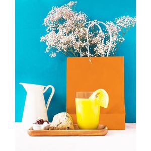 Sacchetti Regalo per Salmone di Medie Dimensioni, 30 Pezzi, con Manici 11"x5"x8", Uso Multiplo per Diverse Occasioni - Product Image 1