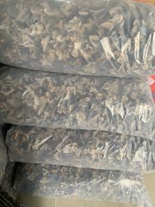 Tremella Premium Cultivada, Hongo de Nieve Crudo de Vietnam, Envasado al Vacío para Sopas y Fideos - Product Image 6