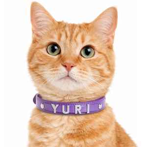 Plaque nominative coulissante personnalisée en gros avec alphabet décoratif pour chien, breloque pour animal de compagnie - Product Image 6