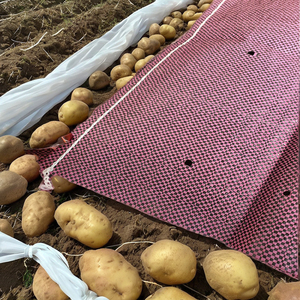Vietnam Offre Spéciale sacs en plastique souple haute étanchéité à l'humidité PP tissé agriculture impression flexo pour la manipulation des feuilles de thé - Product Image 3