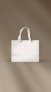 Sac en papier écologique pour bijoux, cosmétiques et vêtements – Sac cadeau en papier de haute qualité pour boutiques et emballages de détail – Sacs de marque 2026 - Product Image 1