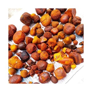 Cálculos Biliares de Buey Más Vendidos para Redes de Comercio Global, Mercados Especializados y Compradores Comerciales - Product Image 4