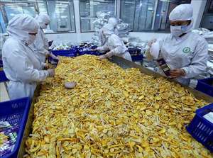 FRUTAS Y VERDURAS SECAS PREMIUM EN RECIPIENTE, RECIPIENTE DE RECIPIENTES, RECIPIENTEDE RE - Product Image 4