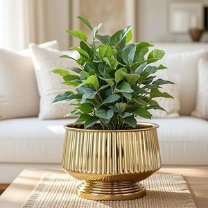 Pot de fleurs moderne en laiton plaqué or avec un design circulaire pour une utilisation sur un bureau intérieur - Product Image 1