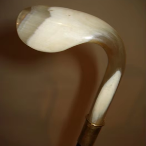 Bastón de Puercoespín Único con Mango de Cuerno de Búfalo Natural, Mango de Cuerno de Búfalo de la Mejor Calidad, Color Natural - Product Image 1