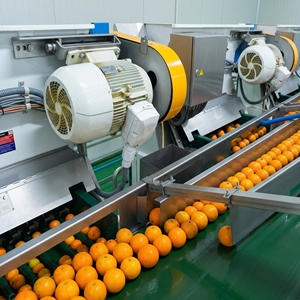 Concentrado de Jugo de Mandarina Kinnow Congelado, 100% Natural, Extracto de Cítricos Puro, Recién Exprimido, 60 Brix |   Suministro al por Mayor de Alta Calidad 1 - Product Image 5