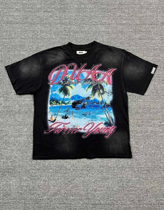 T-shirt en coton 100 % de haute qualité pour hommes, imprimé graphique, coupe ample, manches courtes, par des fabricants de vêtements haut de gamme - Product Image 5