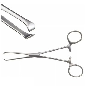 Pinces Allis chirurgicales en acier inoxydable, pince à tissus avec verrouillage à cliquet pour hôpital, clinique, salle d'opération - Product Image 2
