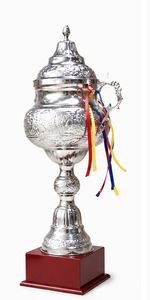 Stainless Steel <b>Trophy</b> <b>Cup</b> With Ribbons Durable Metal Award For Competition Display - Product Image 4