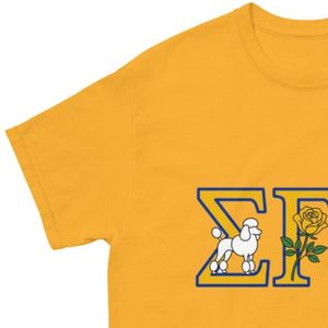 เสื้อยืดลายตัวอักษร Sigma Gamma Rho พร้อมไอคอนกราฟิกแบบกำหนดเอง เสื้อยืดผ้าฝ้ายแขนสั้น เสื้อแฟชั่นลำลอง เสื้อผ้ากรีกสำหรับผู้หญิง - Product Image 5