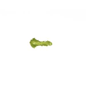 Matcha Cérémonial Biologique Kagoshima Yabukita Monocultivar - Product Image 2
