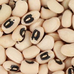 Haricots noirs frais pour la cuisine quotidienne, aux grains uniformes, excellente texture et qualité fiable à un prix compétitif sur le marché. - Product Image 3