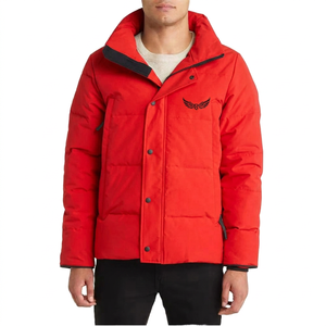 Veste à capuche pour homme, hiver, chaude, épaisse, rembourrée en polyester, décontractée, col montant, logo brodé sur le devant, coupe-vent - Product Image 2