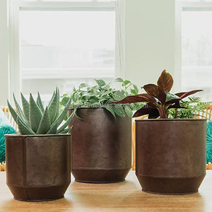 Chậu Hoa Tròn Và Chậu Trồng Cây Vàng Và Đồng Có Lỗ Thoát Nước Tuyệt Vời Cho Cây Xương Rồng Hoặc Cây Rắn - Product Image 4