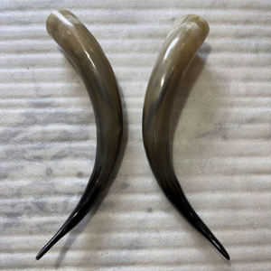Par de Cuernos de Búfalo Pulidos para Decoración de Pared, Diseño Art Deco, Grandes de 27 a 35 Pulgadas, para Bodas, Cumpleaños, Aniversarios - Product Image 1