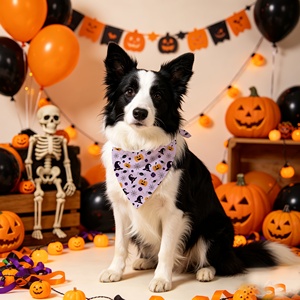 Bandanas d'Halloween pour chiens et chats, motif citrouille, chauve-souris, crâne, foulard personnalisé imprimé pour animaux de compagnie, accessoire saisonnier en gros - Product Image 4