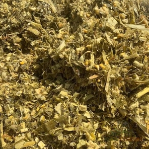 หญ้าหมักข้าวโพดสดสำหรับการให้อาหารปศุสัตว์นม หญ้าหมักข้าวโพดสีเหลืองเกรดส่งออกเพื่อเสริมโภชนาการโค - Product Image 6