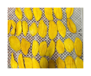 กล้วยฉาบเกรดส่งออก เวียดนาม - กล้วยกรอบธรรมชาติสำหรับการผลิตอาหาร - Product Image 2