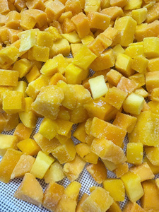 Cubes de mangue lyophilisés, fruits naturels de qualité supérieure pour mélange de collations, granola, garniture pour petit-déjeuner, approvisionnement direct d'usine du Vietnam - Product Image 2