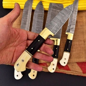 Handmade Damascus Steel Chef <b>Knife</b> <b>Set</b> 5 Pieces Kitchen <b>Knife</b> <b>Set</b> with Bone and Micarta Handle Hunting <b>Knives</b> By A&M EnterPrises - Product Image 4