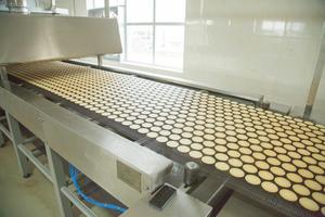 ขนมแครกเกอร์ผักอาเทลารสใหม่เพื่อสุขภาพ รสหัวหอมกรอบ 342 กรัม ผลิตโดย ODM เวียดนาม - Product Image 6