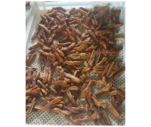 ผู้จัดจำหน่ายกล้วยอบแห้งเกรดส่งออกจากเวียดนาม - กล้วยอบแห้งรสหวานธรรมชาติสำหรับอุตสาหกรรมขนมขบเคี้ยว - Product Image 4