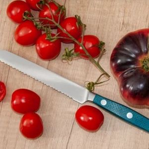 Couteaux de cuisine à lame dentelée bleu sarcelle avec manche à triple rivet pour trancher les tomates et la préparation quotidienne des aliments - Product Image 5