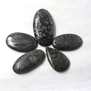 100% Marcassite Agate Cabochon Taille Libre Pierres Précieuses Lâches pour la Fabrication de Bijoux Forme de Mélange avec Foret Inclus Marcassite Lot Marcassite - Product Image 1