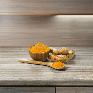 Extrait de curcuma de qualité supérieure poudre de nano curcumine soutien antioxydant et anti-inflammatoire pour la santé et le bien-être" - Product Image 1