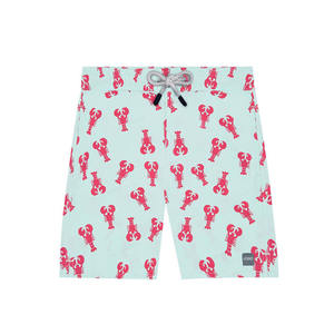 Trajes de Baño Estampados para Hombre al por Mayor, Shorts de Playa Ligeros, Proveedor de Shorts de Baño Personalizados con Logotipo, Shorts de Baño de Secado Rápido de Poliéster para Hombre - Product Image 2