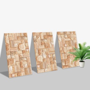 Azulejos Premium Choice de Primera Calidad, Azulejos Asia Tiles Elevation de 300x600mm para Paredes y Pisos de Dormitorios. - Product Image 1