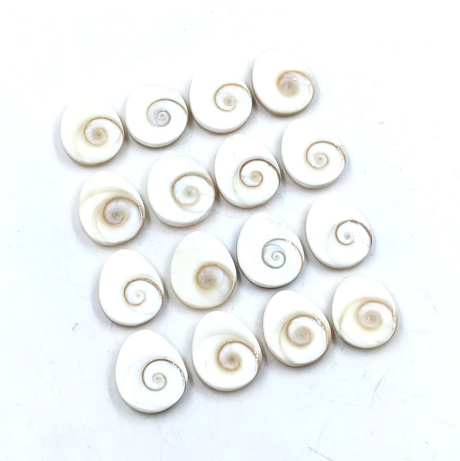 เช่นเดียวกับภาพ